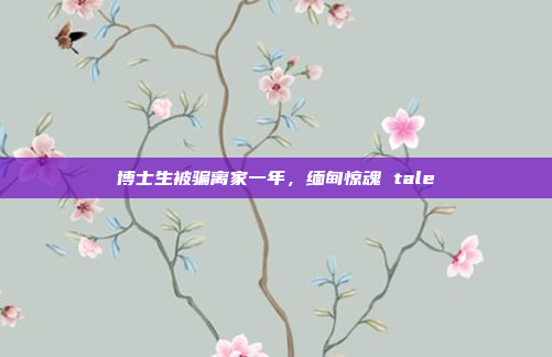 博士生被骗离家一年，缅甸惊魂 tale
