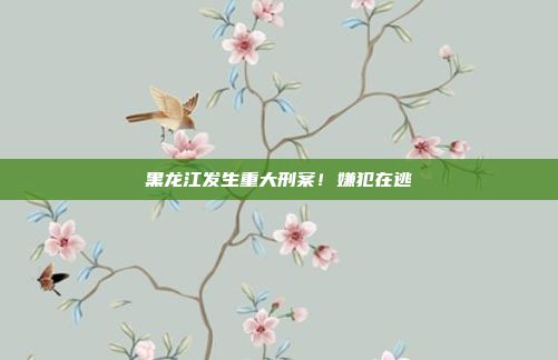 黑龙江发生重大刑案！嫌犯在逃