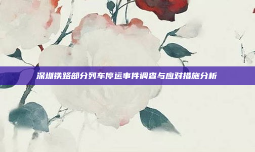 深圳铁路部分列车停运事件调查与应对措施分析