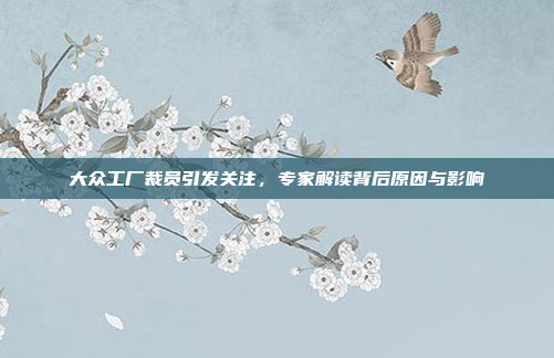 大众工厂裁员引发关注，专家解读背后原因与影响