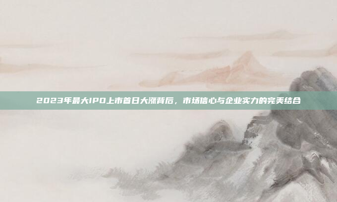 2023年最大IPO上市首日大涨背后，市场信心与企业实力的完美结合