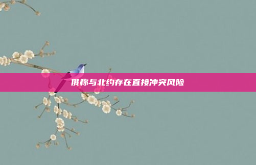 俄称与北约存在直接冲突风险