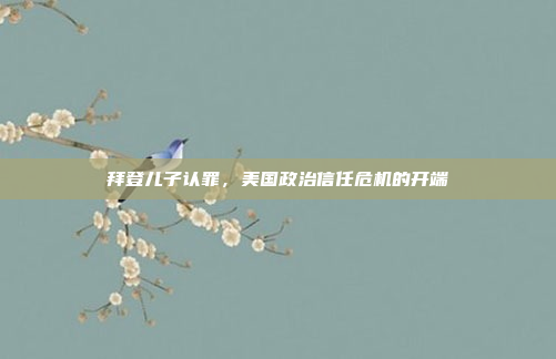 拜登儿子认罪，美国政治信任危机的开端