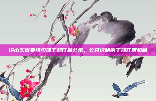论山东省委组织部干部任前公示，公开透明的干部任用机制