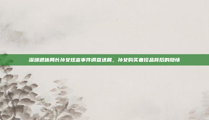 深圳退休局长孙女炫富事件调查进展，孙女购买奢侈品背后的隐情