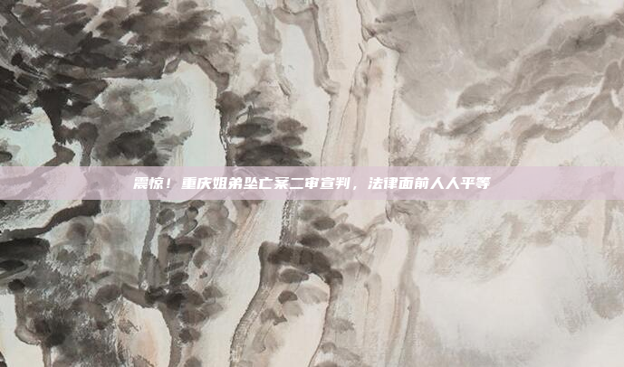 震惊！重庆姐弟坠亡案二审宣判，法律面前人人平等