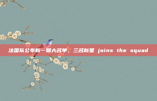 法国队公布新一期大名单，三名新星 joins the squad