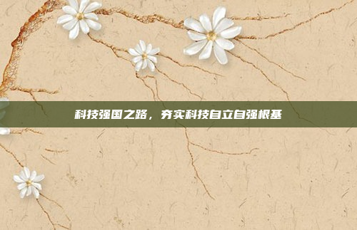 科技强国之路，夯实科技自立自强根基