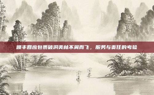 顺丰回应包裹破洞美林不翼而飞，服务与责任的考验