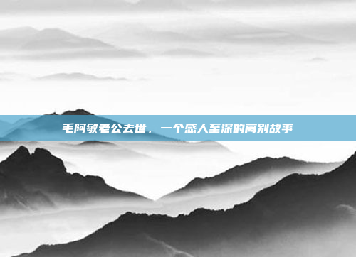 毛阿敏老公去世，一个感人至深的离别故事