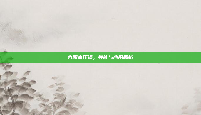 九阳高压锅，性能与应用解析