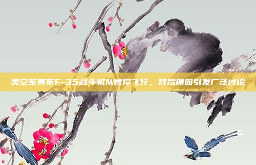 美空军宣布F-35战斗机队暂停飞行，背后原因引发广泛讨论