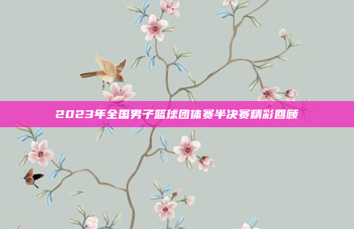 2023年全国男子篮球团体赛半决赛精彩回顾