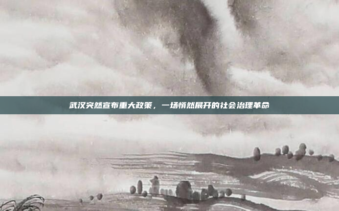 武汉突然宣布重大政策,一场悄然展开的社会治理革命