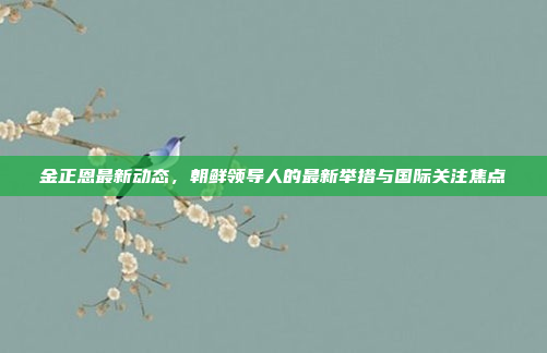 金正恩最新动态，朝鲜领导人的最新举措与国际关注焦点