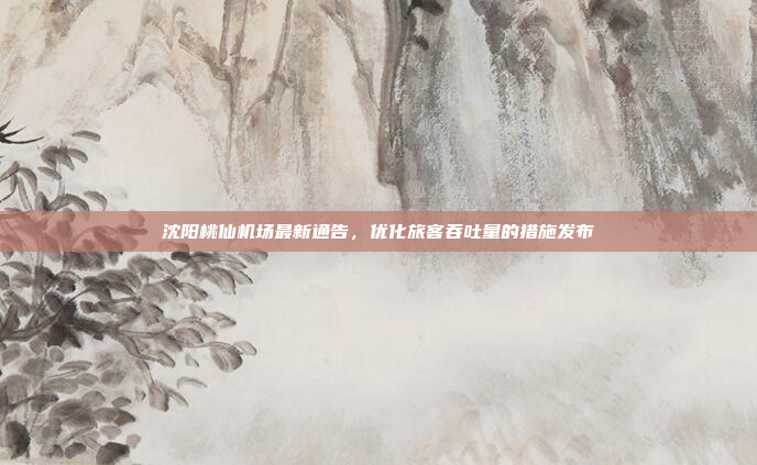沈阳桃仙机场最新通告，优化旅客吞吐量的措施发布