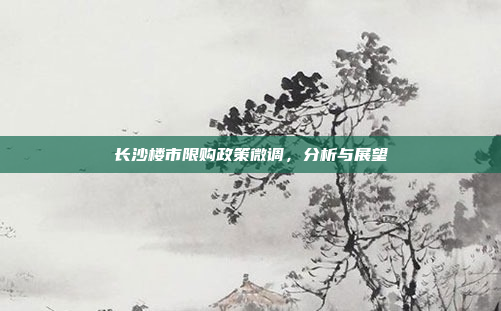 长沙楼市限购政策微调，分析与展望