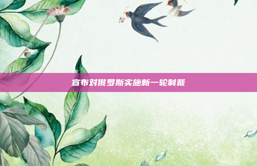宣布对俄罗斯实施新一轮制裁