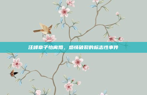 汪峰章子怡离婚，感情破裂的标志性事件