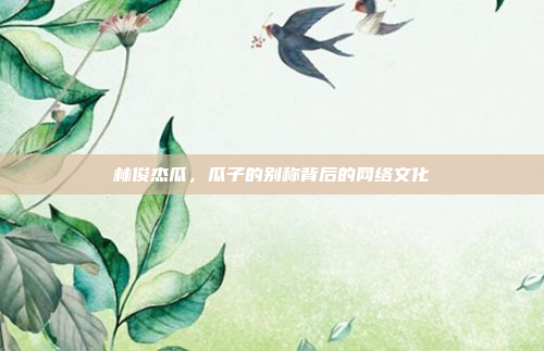 林俊杰瓜，瓜子的别称背后的网络文化