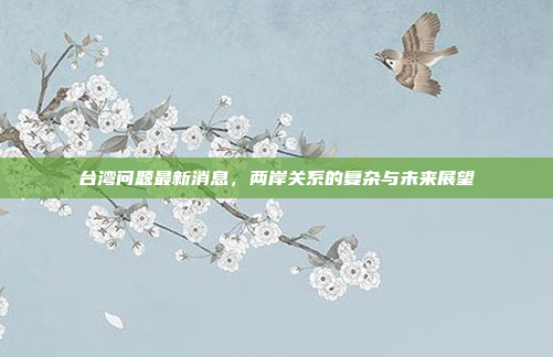 台湾问题最新消息，两岸关系的复杂与未来展望