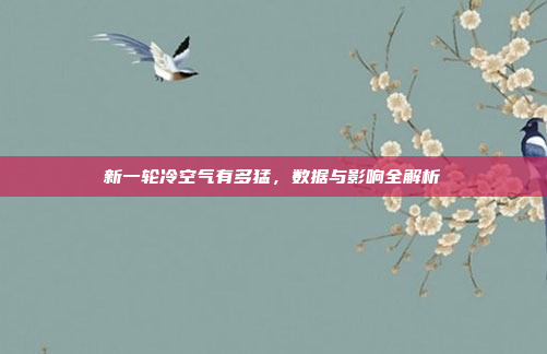 新一轮冷空气有多猛，数据与影响全解析