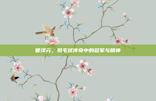 管泽元，羽毛球传奇中的冠军与精神
