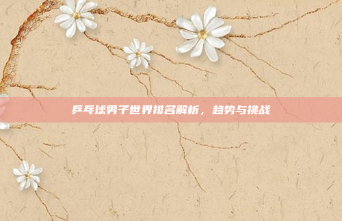 乒乓球男子世界排名解析,趋势与挑战
