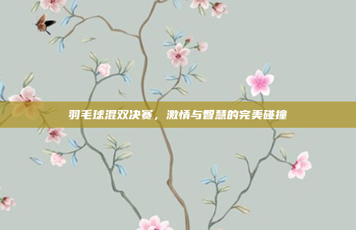 羽毛球混双决赛,激情与智慧的完美碰撞