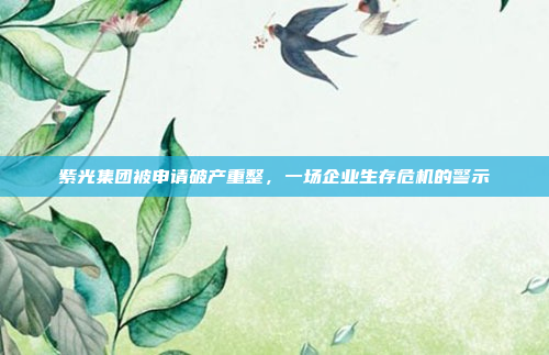 紫光集团被申请破产重整,一场企业生存危机的警示