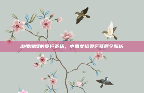 激情燃烧的奥运赛场，中国女排奥运赛程全解析