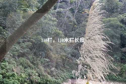 110栏，110米栏长度