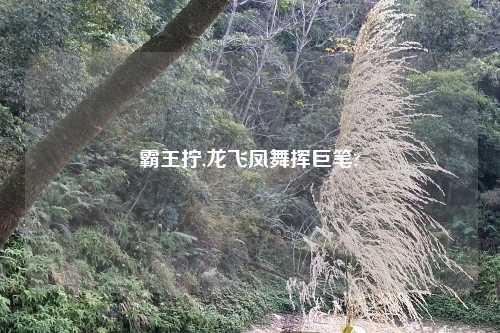 霸王拧,龙飞凤舞挥巨笔?