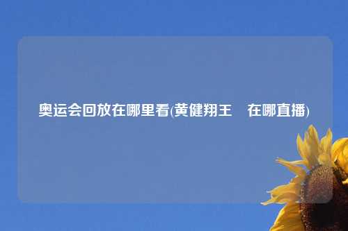奥运会回放在哪里看(黄健翔王濛在哪直播)