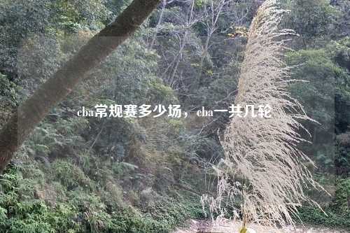 cba常规赛多少场，cba一共几轮