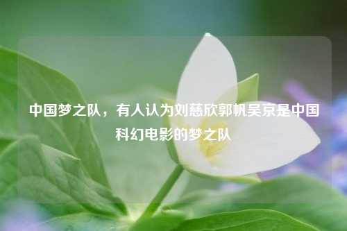中国梦之队，有人认为刘慈欣郭帆吴京是中国科幻电影的梦之队
