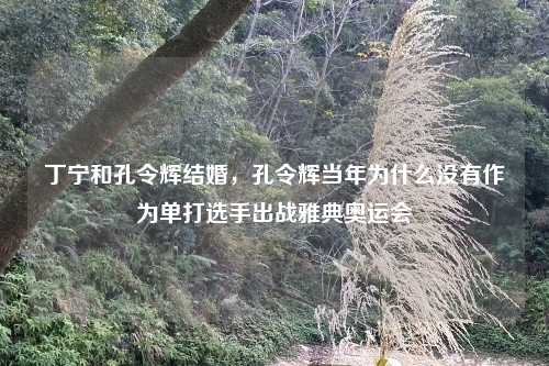丁宁和孔令辉结婚，孔令辉当年为什么没有作为单打选手出战雅典奥运会