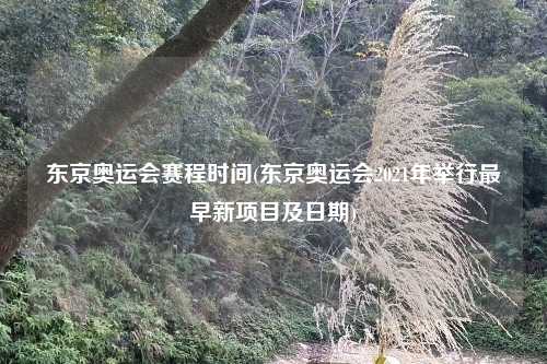 东京奥运会赛程时间(东京奥运会2021年举行最早新项目及日期)