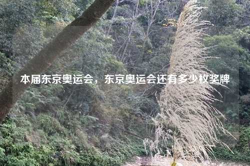 本届东京奥运会，东京奥运会还有多少枚奖牌