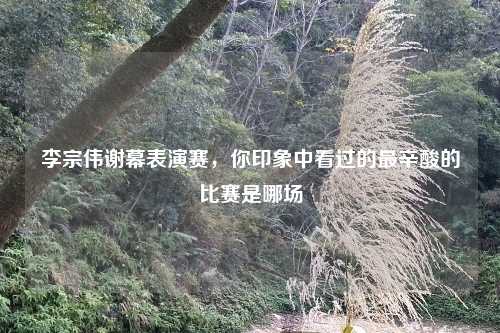 李宗伟谢幕表演赛，你印象中看过的最辛酸的比赛是哪场