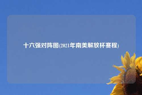 十六强对阵图(2021年南美解放杯赛程)