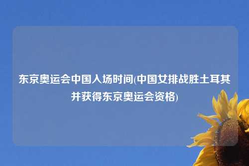 东京奥运会中国入场时间(中国女排战胜土耳其并获得东京奥运会资格)