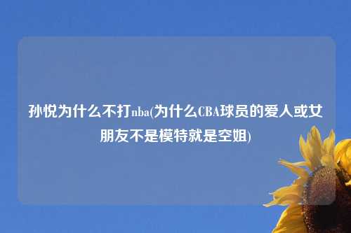 孙悦为什么不打nba(为什么CBA球员的爱人或女朋友不是模特就是空姐)