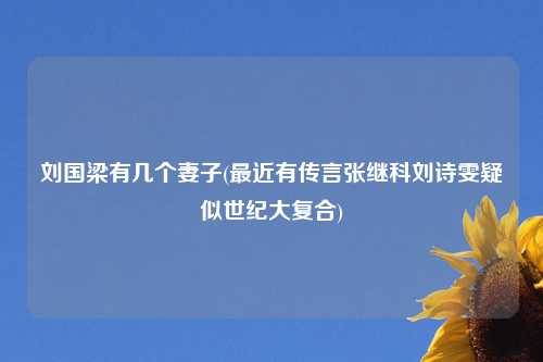 刘国梁有几个妻子(最近有传言张继科刘诗雯疑似世纪大复合)