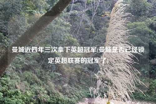 曼城近四年三次拿下英超冠军(曼城是否已经锁定英超联赛的冠军了)