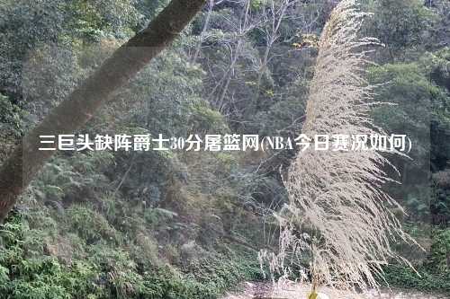 三巨头缺阵爵士30分屠篮网(NBA今日赛况如何)
