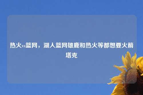 热火vs篮网，湖人篮网雄鹿和热火等都想要火箭塔克