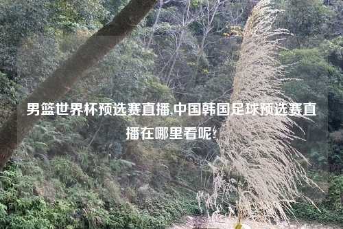 男篮世界杯预选赛直播,中国韩国足球预选赛直播在哪里看呢?