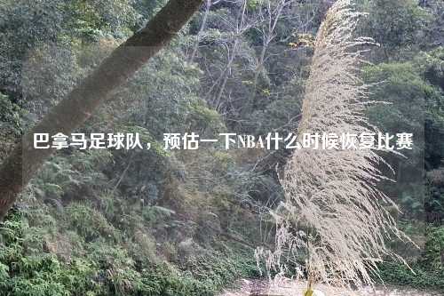 巴拿马足球队，预估一下NBA什么时候恢复比赛