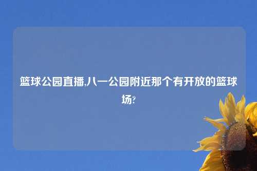 篮球公园直播,八一公园附近那个有开放的篮球场?